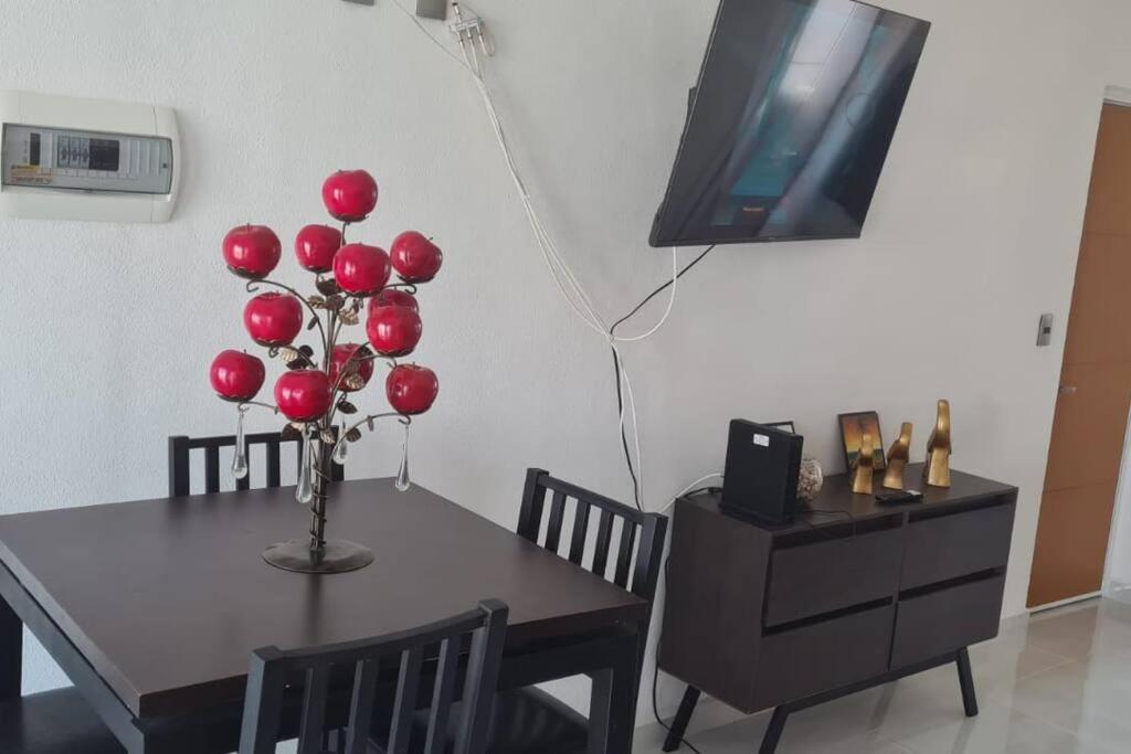 Bonito Penthouse Con Roof Garden Apartman Manzanillo Kültér fotó